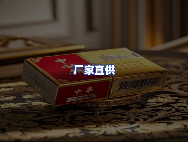 专业团队
